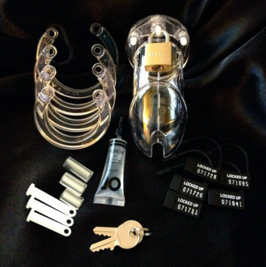 CB-6000 Male Chastity Device